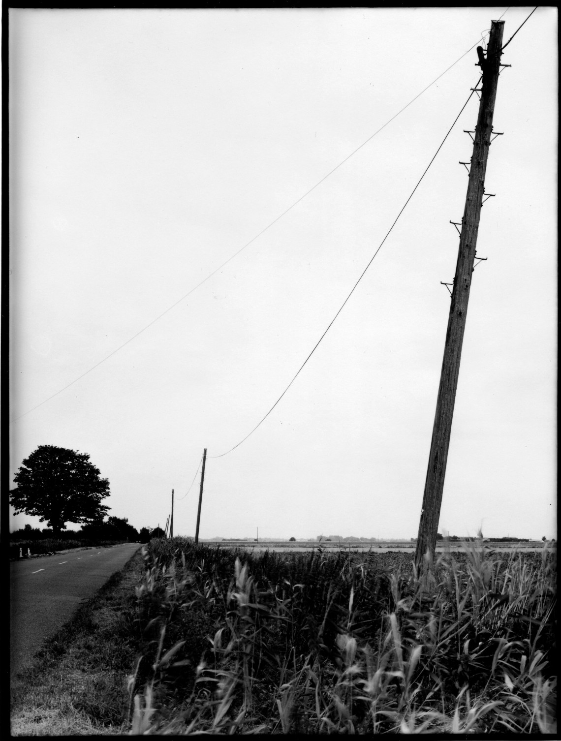 lines-drains-and-droves-fenland-4-copy