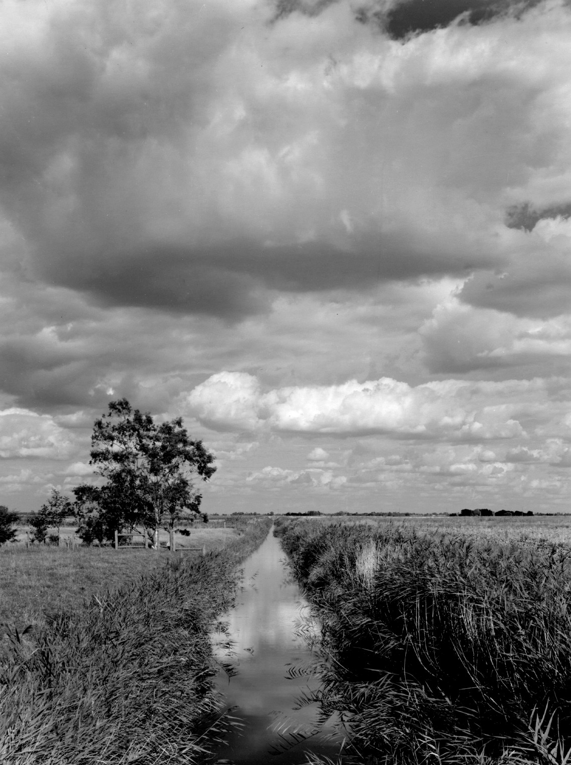 lines-drains-and-droves-fenland-7_edited-1